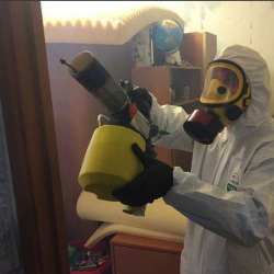 Уничтожение клопов в квартире. Колпино